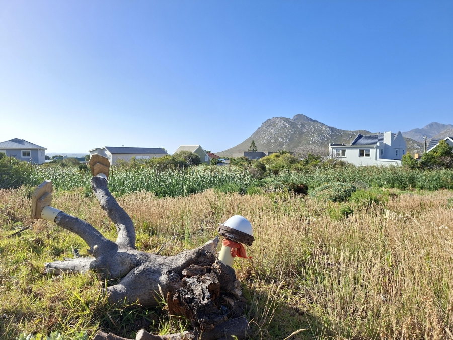 0 Bedroom Property for Sale in Pringle Bay Western Cape